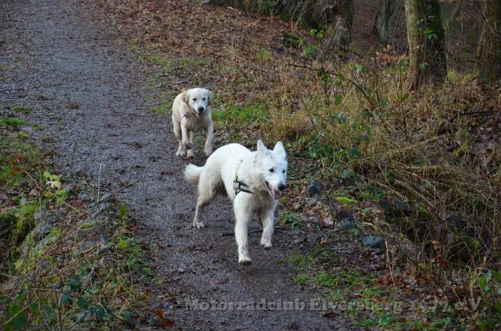 Wandertag 2012 - 103.JPG